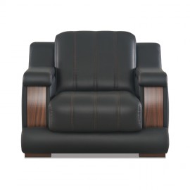 Senatör Koltuk Takımı